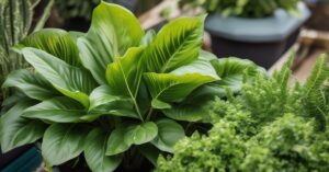 Sól Epsom do podlewania kwiatów – jak to działa?