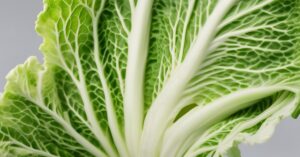 Czerne kropki na kapuście pekińskiej: Jak je rozpoznać i usunąć?